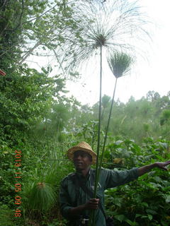 30 8f5. Uganda - farm resort - walk in the forest