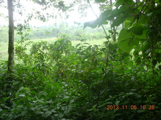 Uganda - farm resort - walk in the forest - ripples in the water pond