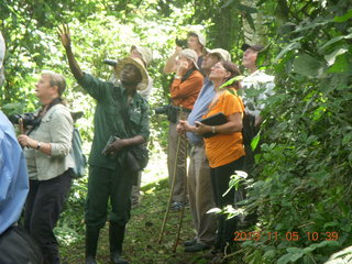 Uganda - farm resort - walk in the forest