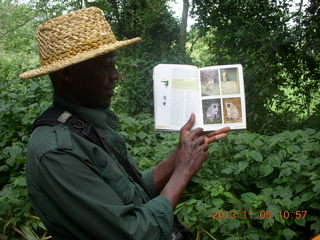 Uganda - farm resort - walk in the forest