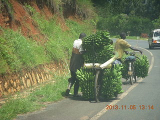 Uganda - farm resort - walk in the forest