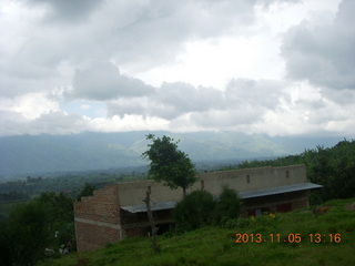 Uganda - farm resort - walk in the forest