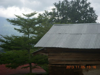 Uganda - farm resort - walk in the forest