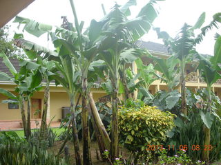 Uganda - Mountain of the Moon hotel