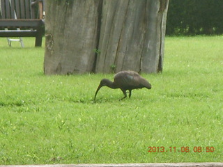 Uganda - Mountain of the Moon hotel - Adam after run