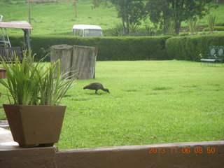 Uganda - Mountain of the Moon hotel - Adam after run