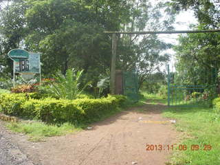 Uganda - Mountain of the Moon hotel - horn-bill bird