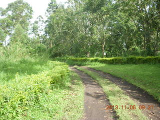 Uganda - Tooro Botanical Garden