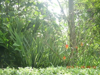 Uganda - Tooro Botanical Garden