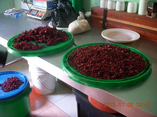 Uganda - Tooro Botanical Garden - herb drying