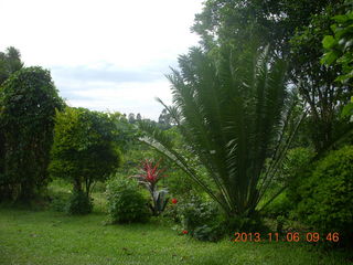 Uganda - Tooro Botanical Garden