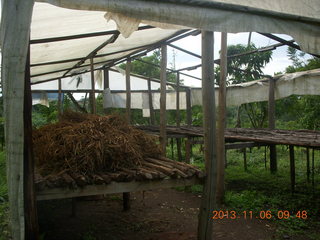 Uganda - Tooro Botanical Garden