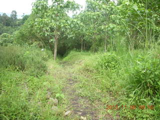 Uganda - Tooro Botanical Garden