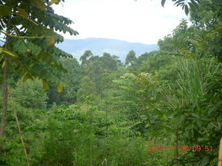 Uganda - Tooro Botanical Garden