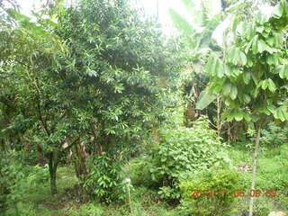 Uganda - Tooro Botanical Garden