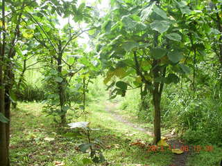 Uganda - Tooro Botanical Garden