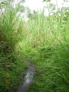 Uganda - Tooro Botanical Garden