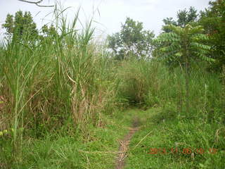 Uganda - Tooro Botanical Garden