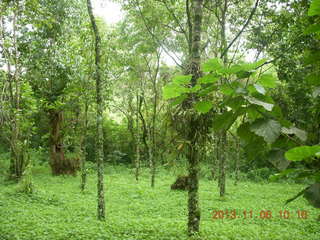 87 8f6. Uganda - Tooro Botanical Garden