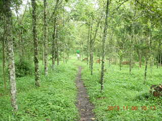 Uganda - Tooro Botanical Garden