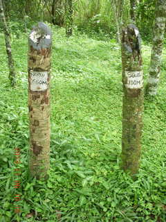 Uganda - Tooro Botanical Garden