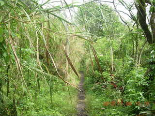 94 8f6. Uganda - Tooro Botanical Garden