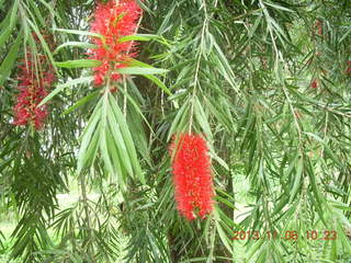 Uganda - Tooro Botanical Garden