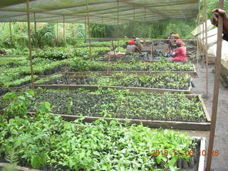 Uganda - Tooro Botanical Garden