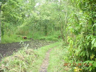 Uganda - Tooro Botanical Garden