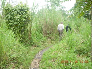 111 8f6. Uganda - Tooro Botanical Garden