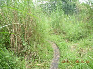 Uganda - Tooro Botanical Garden