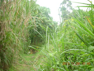 Uganda - Tooro Botanical Garden