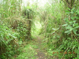 Uganda - Tooro Botanical Garden