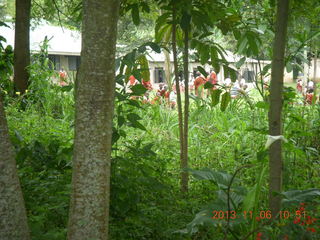 Uganda - Tooro Botanical Garden