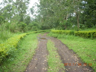 124 8f6. Uganda - Tooro Botanical Garden