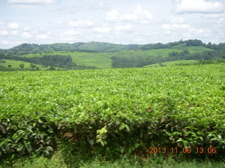 Uganda - drive from hotel to chimpanzee park