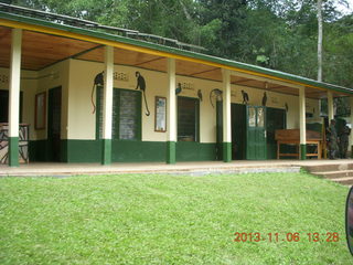 Uganda - Primate Lodge Kabile chimpanzee park