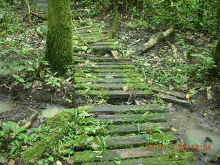 182 8f6. Uganda - Primate Lodge Kabile chimpanzee park