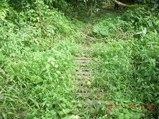 184 8f6. Uganda - Primate Lodge Kabile chimpanzee park