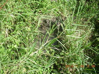 Uganda - Primate Lodge Kabile chimpanzee park - elephant footprint water hole