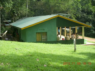 Uganda - Primate Lodge Kabile chimpanzee park