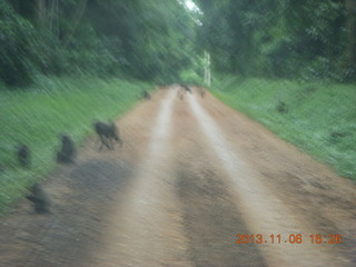 Uganda - Primate Lodge Kabile chimpanzee park - people