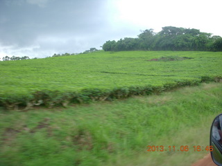 Uganda - drive back from chimpanzee park