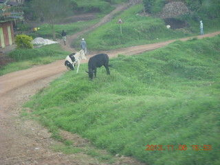 Uganda - drive back from chimpanzee park