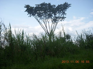 Uganda - drive back from chimpanzee park - baboons