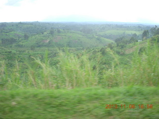 Uganda - drive back from chimpanzee park - baboons