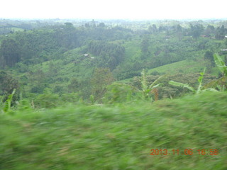 Uganda - drive back from chimpanzee park - baboons