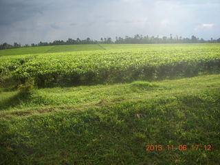 Uganda - drive back from chimpanzee park