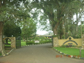 Uganda - drive back from chimpanzee park - another runner