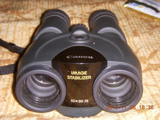 my Canon image-stabilizing binoculars